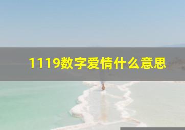 1119数字爱情什么意思