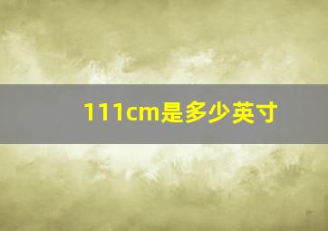 111cm是多少英寸