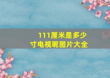 111厘米是多少寸电视呢图片大全