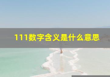 111数字含义是什么意思