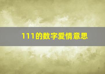 111的数字爱情意思