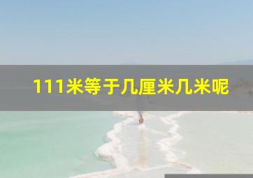 111米等于几厘米几米呢