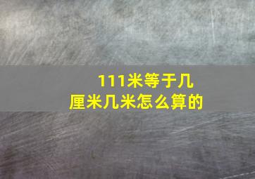 111米等于几厘米几米怎么算的