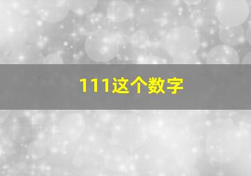 111这个数字