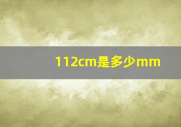 112cm是多少mm