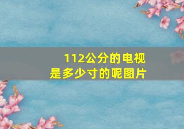 112公分的电视是多少寸的呢图片