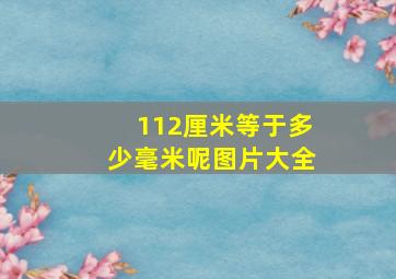 112厘米等于多少毫米呢图片大全