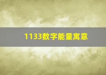 1133数字能量寓意