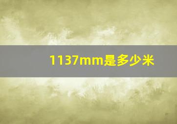 1137mm是多少米