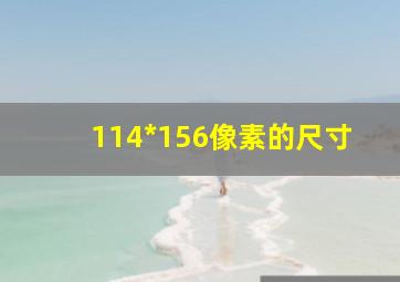 114*156像素的尺寸