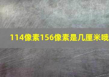 114像素156像素是几厘米哦