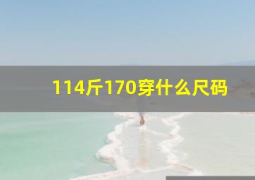 114斤170穿什么尺码