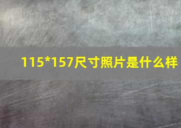 115*157尺寸照片是什么样