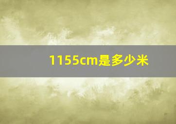 1155cm是多少米