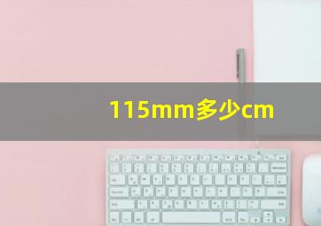 115mm多少cm