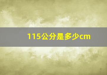 115公分是多少cm