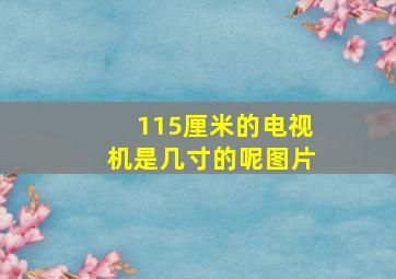 115厘米的电视机是几寸的呢图片