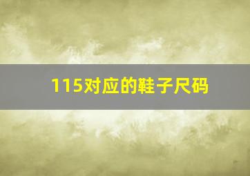 115对应的鞋子尺码