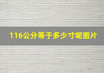 116公分等于多少寸呢图片