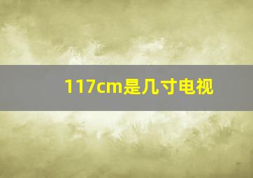 117cm是几寸电视