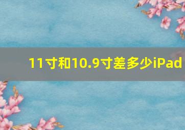 11寸和10.9寸差多少iPad