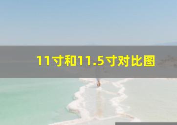 11寸和11.5寸对比图