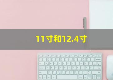 11寸和12.4寸