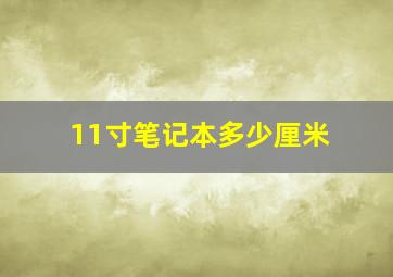 11寸笔记本多少厘米