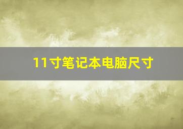 11寸笔记本电脑尺寸