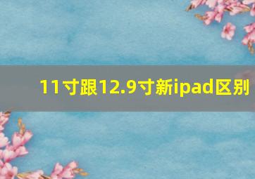 11寸跟12.9寸新ipad区别