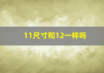 11尺寸和12一样吗