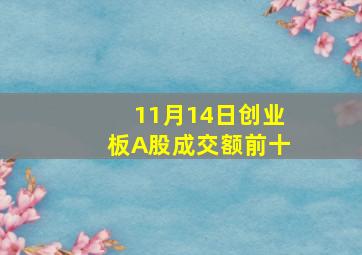 11月14日创业板A股成交额前十