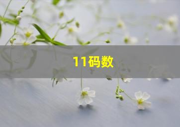 11码数