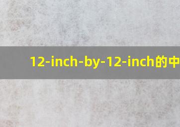 12-inch-by-12-inch的中文