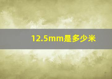 12.5mm是多少米