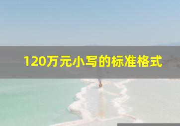 120万元小写的标准格式