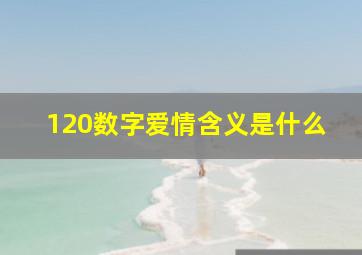 120数字爱情含义是什么