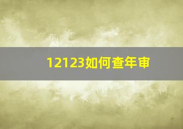 12123如何查年审