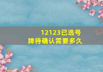 12123已选号牌待确认需要多久