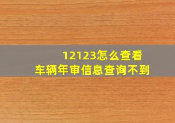 12123怎么查看车辆年审信息查询不到