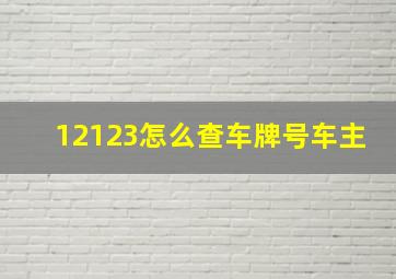 12123怎么查车牌号车主