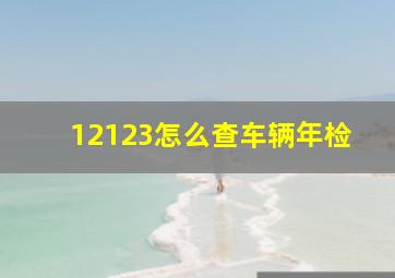 12123怎么查车辆年检