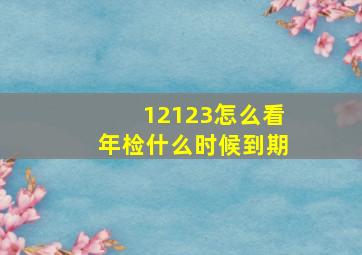 12123怎么看年检什么时候到期