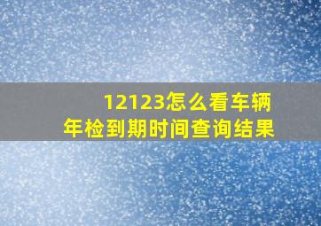 12123怎么看车辆年检到期时间查询结果