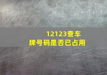 12123查车牌号码是否已占用