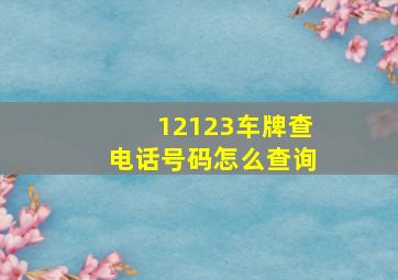 12123车牌查电话号码怎么查询