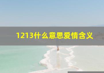 1213什么意思爱情含义