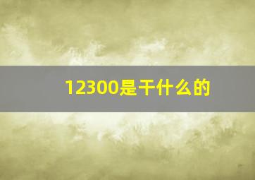 12300是干什么的