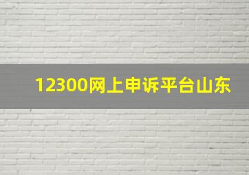 12300网上申诉平台山东