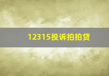 12315投诉拍拍贷